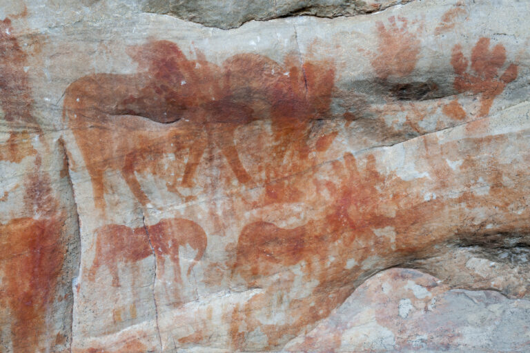 Indigenous San rock art on the walls of a cave in the Cederberg Mountains in South Africa.